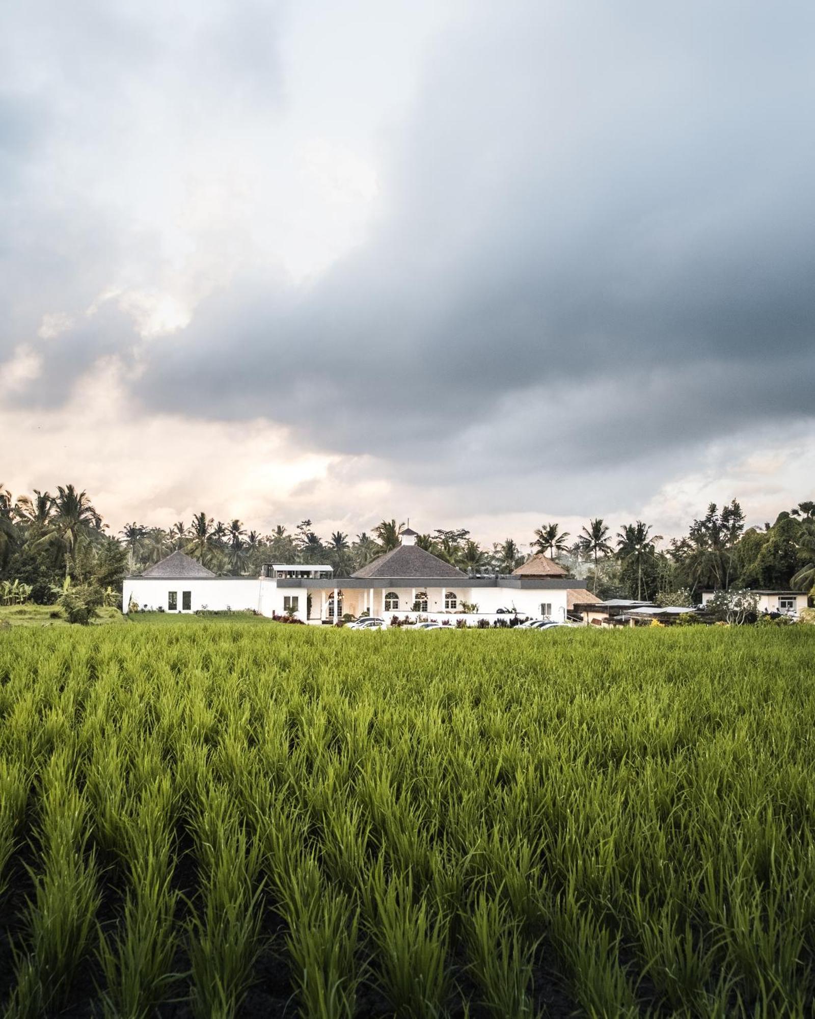 Cascades Suites Ubud  Luaran gambar